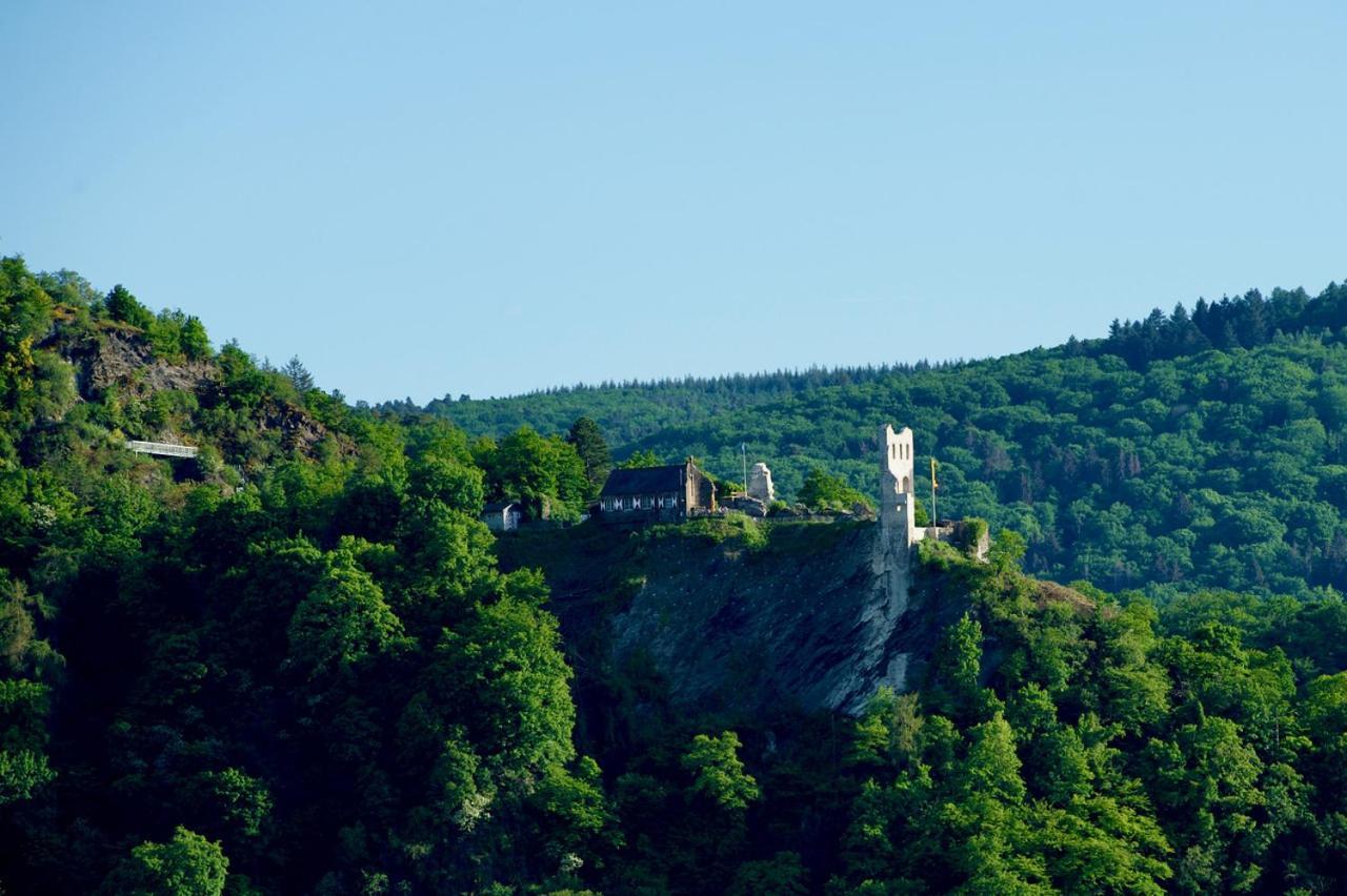 Neu - Premium-Ferienhaus Mosel-Sonne Traben-Trarbach Kültér fotó