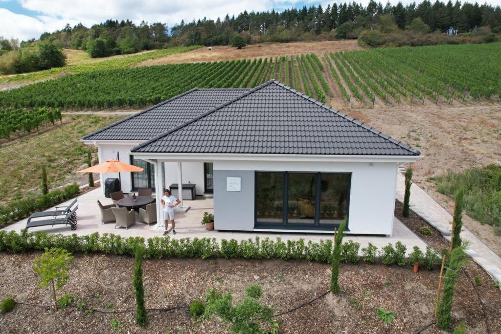 Neu - Premium-Ferienhaus Mosel-Sonne Traben-Trarbach Kültér fotó